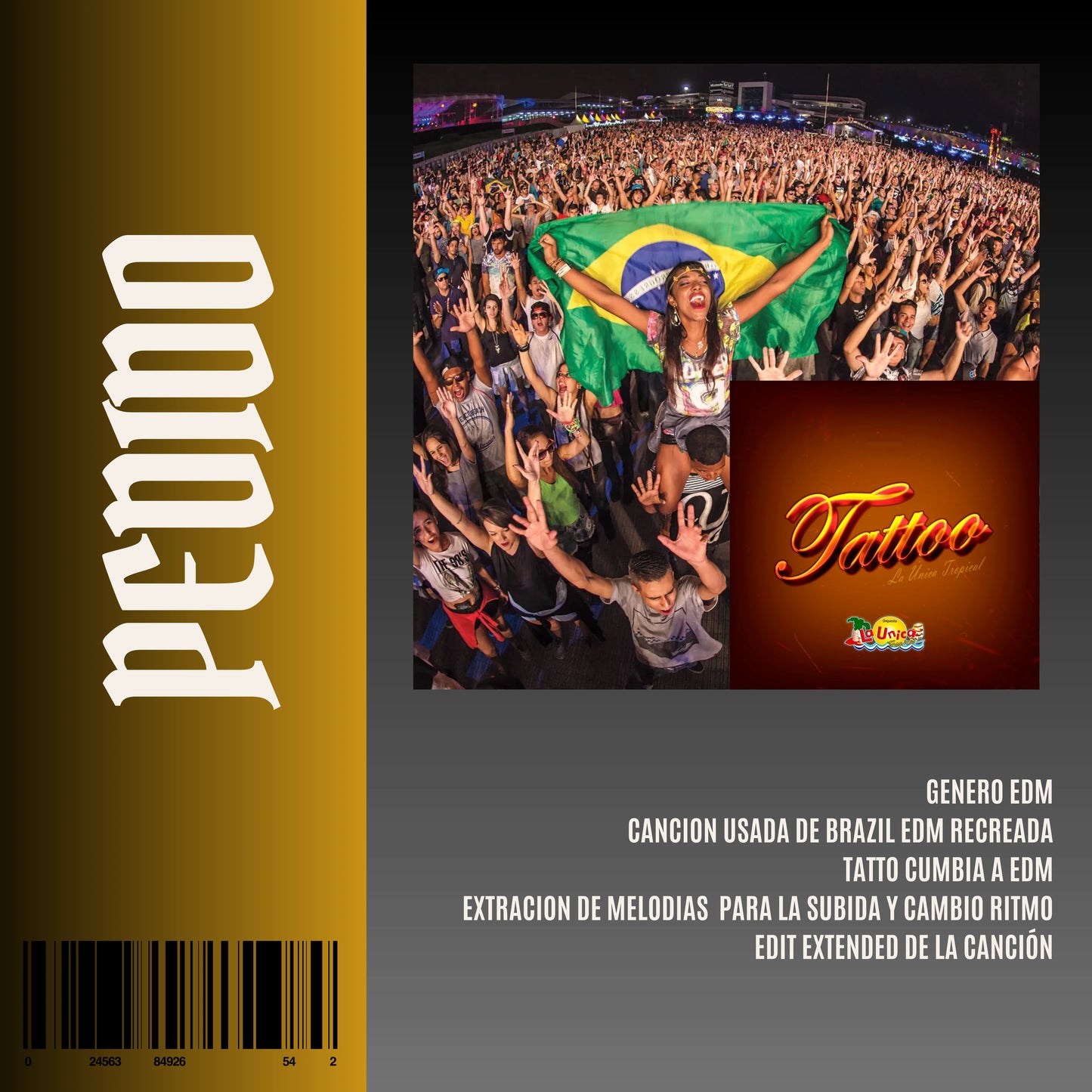 TATTO MELODIA EPICA X REMIX X BRAZIL(NO VENTA)