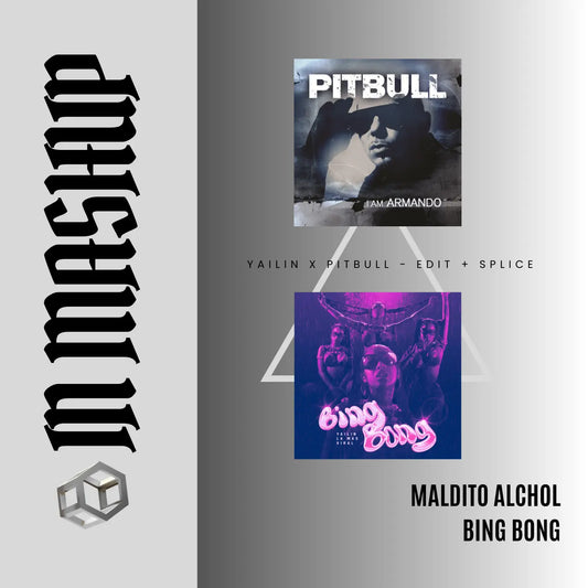 134. Yailin la Mas Viral x Pitbull - Bing Bong x Maldito Alcohol [Complet Splice Aca Out]