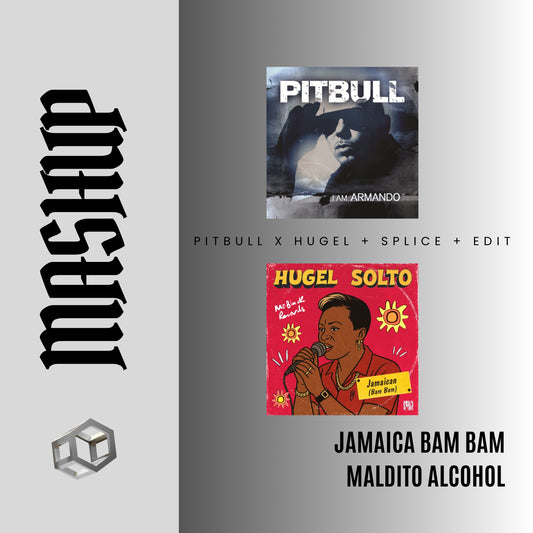 127. IN Mashup x Pitbull x HUGEL - Maldito Alcohol x Jamaica Bam Bam [DJ Juan Saavedra Edit]
