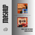 130. Mashup x Pitbull x Sir Mix x Mc Mr Bim - Culo x Baby got back x Bunda Batendo [DJ Juan Saavedra Edit]
