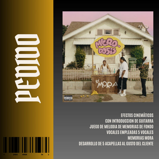 MEMORIAS OPEN SHOW CINEMATIC VOCALES X GUITAR SPECIAL (NO VENTA)