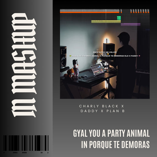 101. IN Mashup x Por que te demoras x Plan B x Daddy x Charly Black - Gyal You a Party Animal [DJ Juan Saavedra]